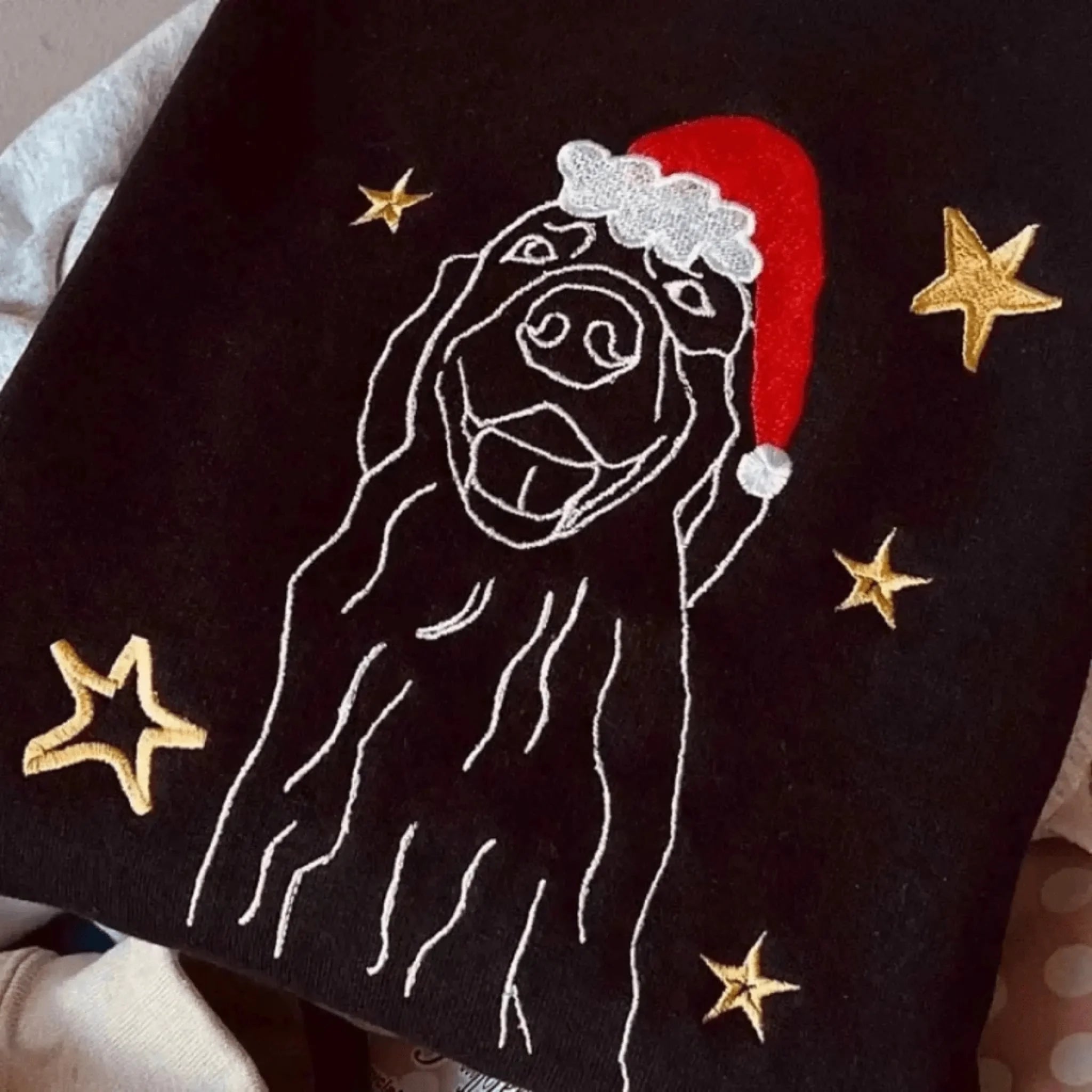  True-Threads - Personalisierte Weihnachts Hunde Hoodie mit Stickerei - Geschenk für Hundebesitzer 