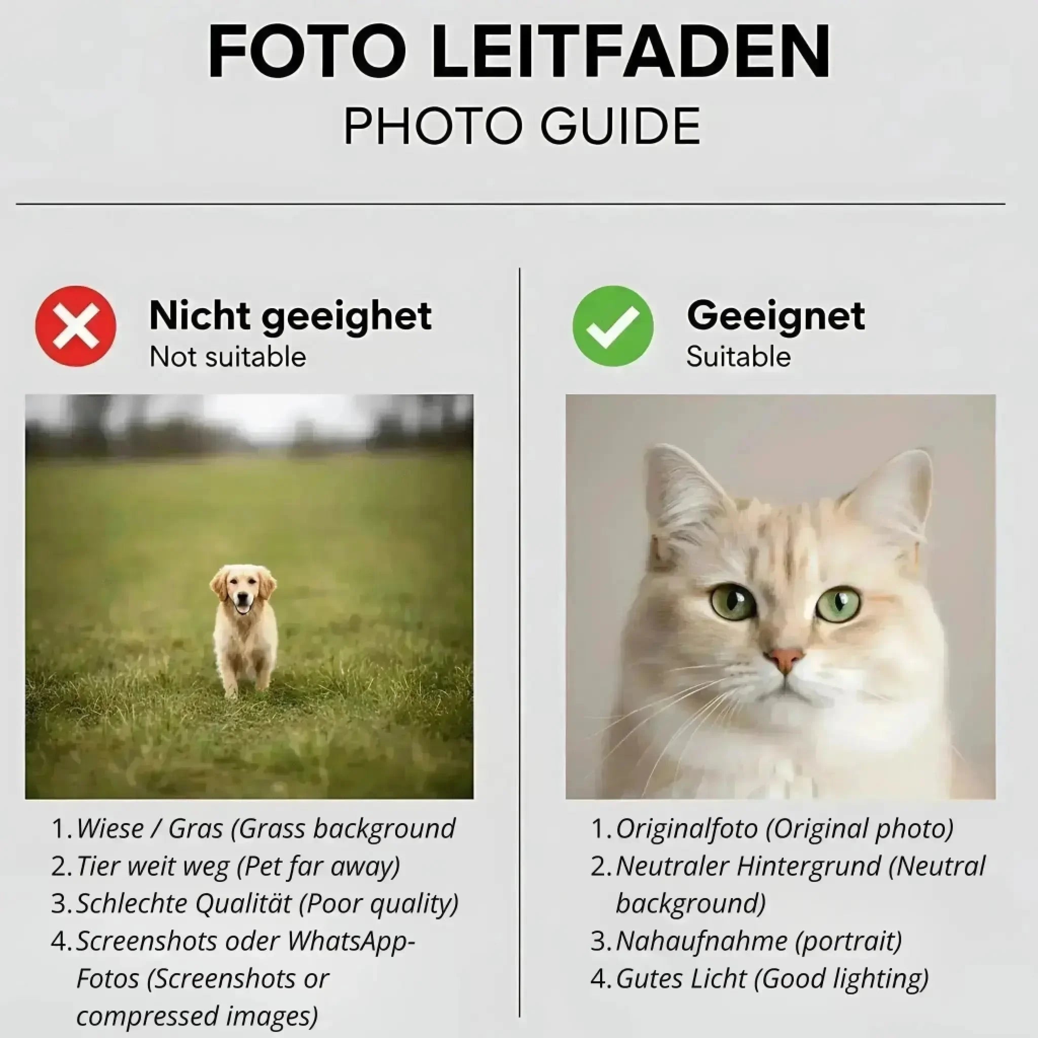  True-Threads - Personalisiertes Hunde-Magazinposter „Furbes“ 